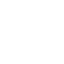 505brl icon