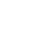 505brl icon